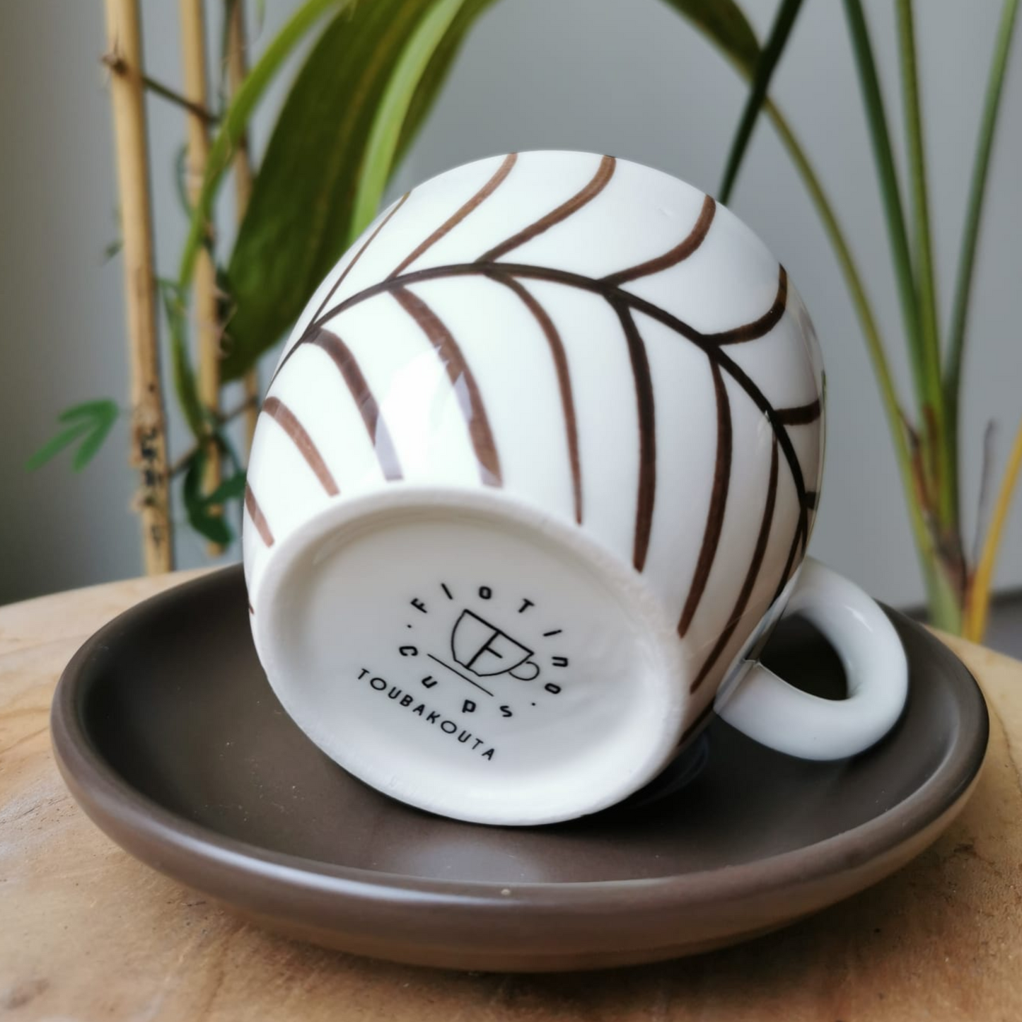 Toubakouta Cappuccino Cup