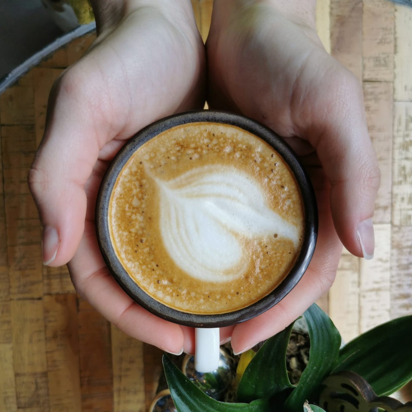 Toubakouta Cappuccino Cup