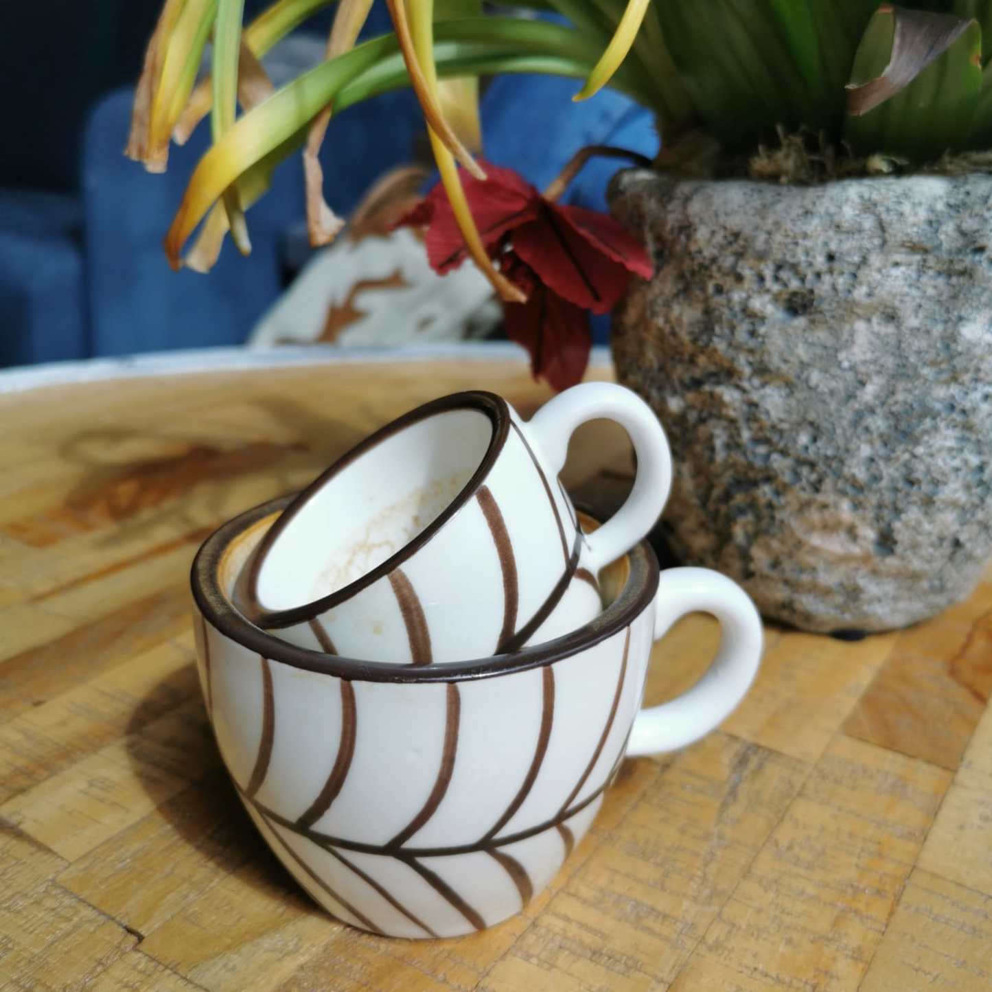 Toubakouta Cappuccino Cup